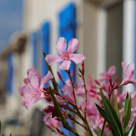 Moulin De Mauzac Panzió
