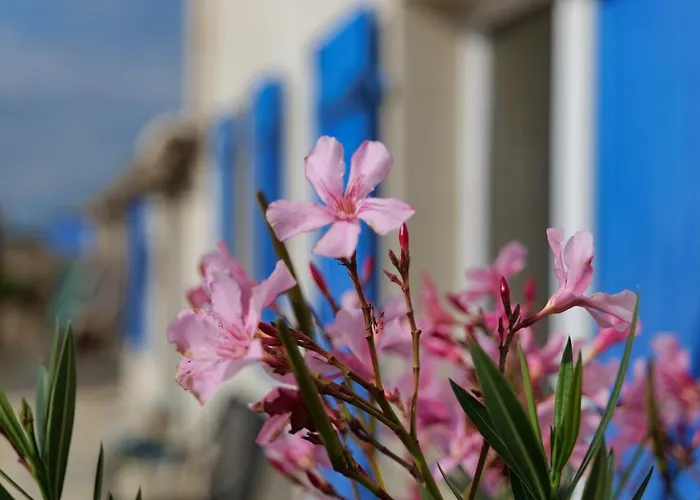 Moulin De Mauzac Bed and breakfast