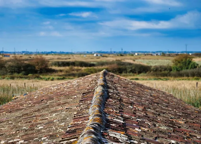 Moulin De Mauzac 3* Saint-Just-Luzac